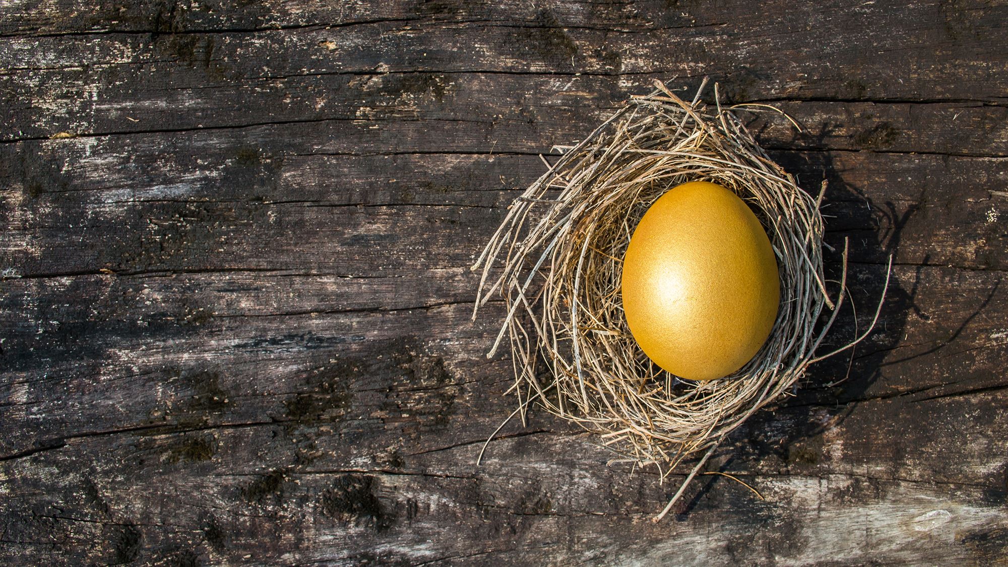 The Golden Nest Egg